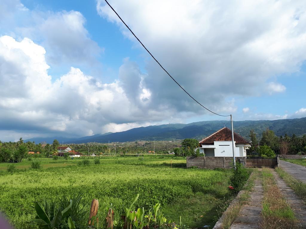 Gede Homestay Lovina  Ngoại thất bức ảnh
